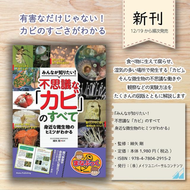 株式会社 メイツユニバーサルコンテンツ » 球技のためのスポーツビジョントレーニング ジュニア選手の競技力を高める視覚強化